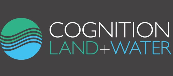 COGNITION-LW-LOGO-GREY-BAND cropped.jpg